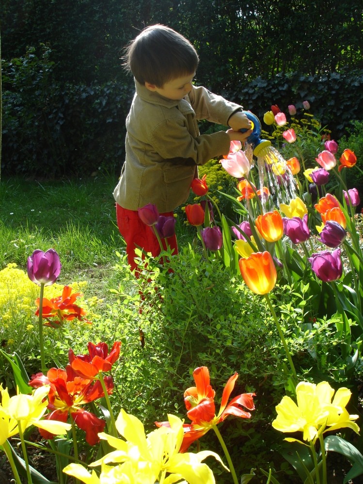 little-gardener.jpg